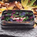 3091-ecolunchbox-lunchbox-solo-rectangle-858ml_natureforkids_10